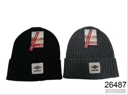 Imagen de GORRO DE HILO CANELON ALPINE SKATE 21.5X20CM  7.26